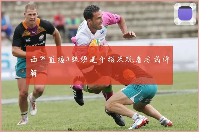 西甲直播A级频道介绍及观看方式详解