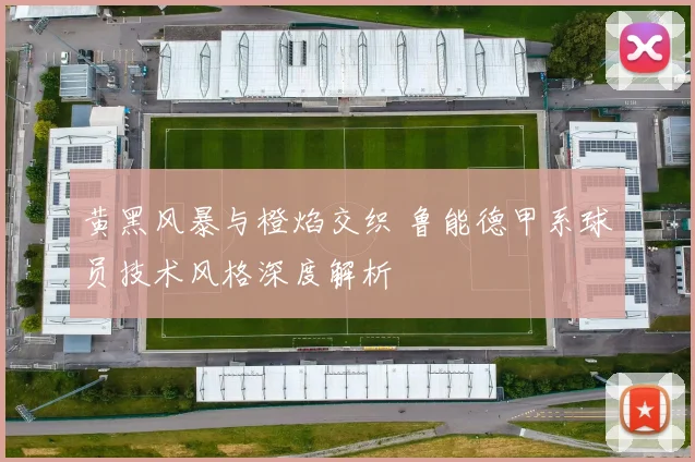 黄黑风暴与橙焰交织 鲁能德甲系球员技术风格深度解析