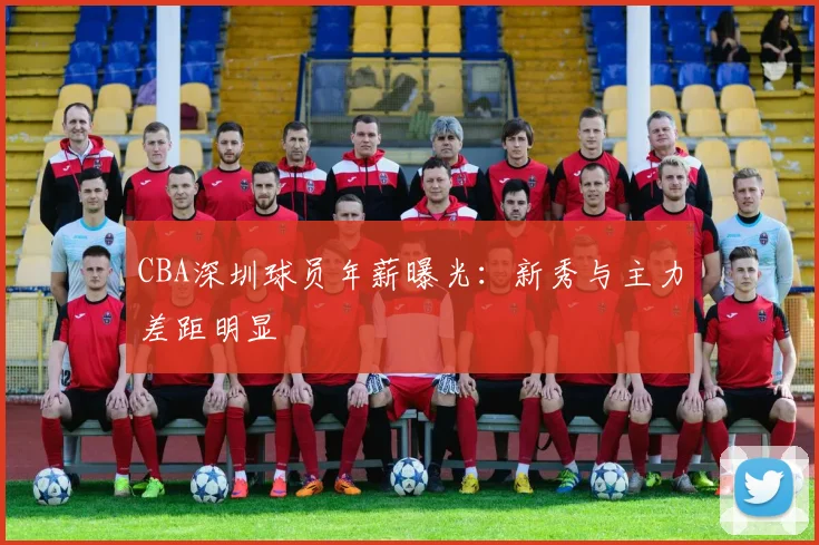 CBA深圳球员年薪曝光:新秀与主力差距明显