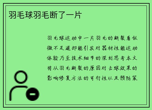 羽毛球羽毛断了一片