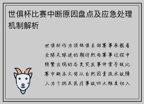 世俱杯比赛中断原因盘点及应急处理机制解析